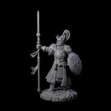 Brave Static Knight Miniature for Dungeons and Dragons, Pathfinder or other TTRPGs