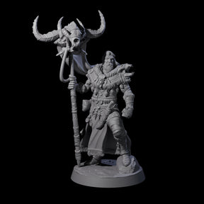 Brave Woodland Barbarian G Miniature for Dungeons and Dragons, Pathfinder or other TTRPGs