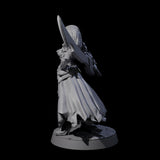 Breathtaking Swordswoman Miniature for Dungeons and Dragons, Pathfinder or other TTRPGs