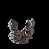 Cactus Roses Miniature for Dungeons and Dragons, Pathfinder or other TTRPGs