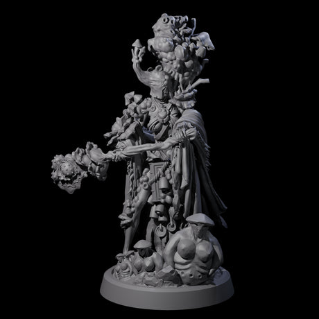 Casting Spore Priest D Miniature for Dungeons and Dragons, Pathfinder or other TTRPGs