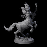 Centaur Battlemaiden Miniature for Dungeons and Dragons, Pathfinder or other TTRPGs