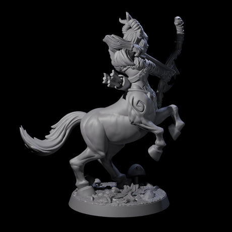 Centaur Battlemaiden Miniature for Dungeons and Dragons, Pathfinder or other TTRPGs