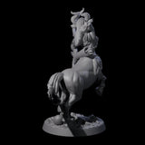 Centaur Battlemaiden Miniature for Dungeons and Dragons, Pathfinder or other TTRPGs