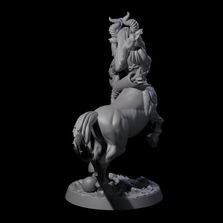 Centaur Battlemaiden Miniature for Dungeons and Dragons, Pathfinder or other TTRPGs