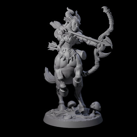 Centaur Battlemaiden Miniature for Dungeons and Dragons, Pathfinder or other TTRPGs