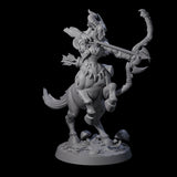 Centaur Battlemaiden Miniature for Dungeons and Dragons, Pathfinder or other TTRPGs
