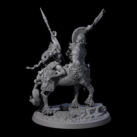 Centaur Elf Teamup A Miniature for Dungeons and Dragons, Pathfinder or other TTRPGs
