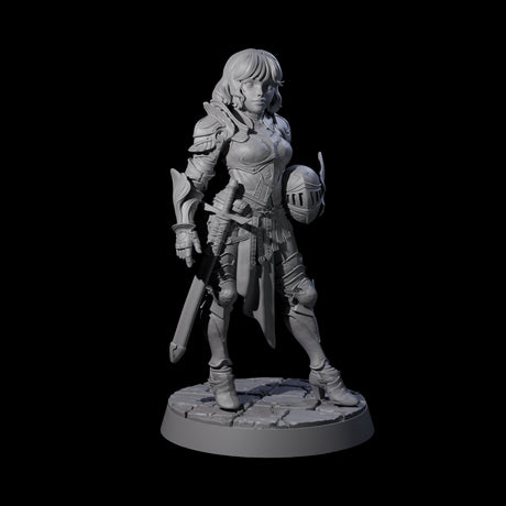 Champion of the Guard Miniature for Dungeons and Dragons, Pathfinder or other TTRPGs