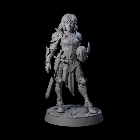 Champion of the Guard Miniature for Dungeons and Dragons, Pathfinder or other TTRPGs