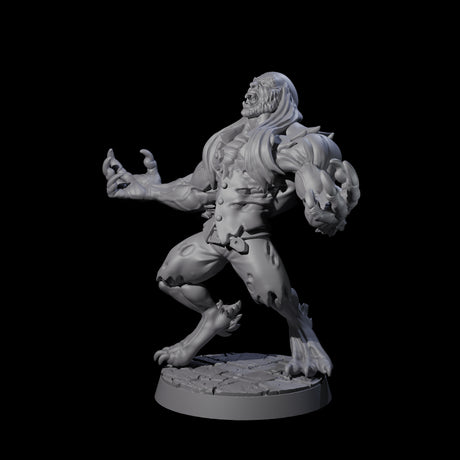 Changing Werewolf Miniature for Dungeons and Dragons, Pathfinder or other TTRPGs