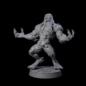 Changing Werewolf Miniature for Dungeons and Dragons, Pathfinder or other TTRPGs