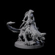 Charging Kobold on Drake A Miniature for Dungeons and Dragons, Pathfinder or other TTRPGs