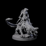 Charging Kobold on Drake A Miniature for Dungeons and Dragons, Pathfinder or other TTRPGs