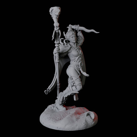 Charming Snake Sorceress Miniature for Dungeons and Dragons, Pathfinder or other TTRPGs