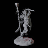 Charming Snake Sorceress Miniature for Dungeons and Dragons, Pathfinder or other TTRPGs