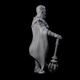 Chilled Dragon Guard Noble Miniature for Dungeons and Dragons, Pathfinder or other TTRPGs
