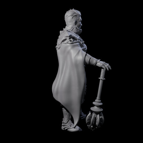 Chilled Dragon Guard Noble Miniature for Dungeons and Dragons, Pathfinder or other TTRPGs