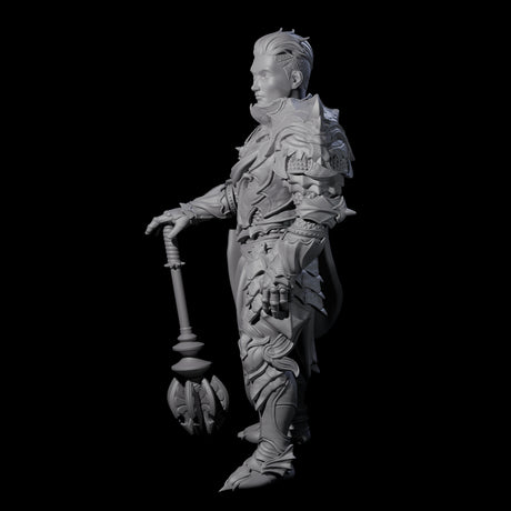 Chilled Dragon Guard Noble Miniature for Dungeons and Dragons, Pathfinder or other TTRPGs