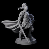 City Knight A Miniature for Dungeons and Dragons, Pathfinder or other TTRPGs