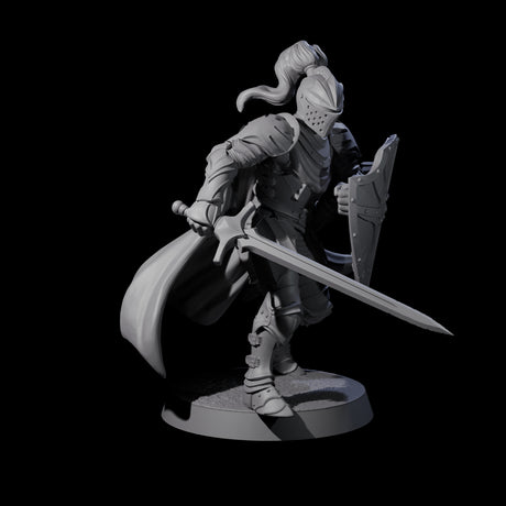 City Knight D Miniature for Dungeons and Dragons, Pathfinder or other TTRPGs