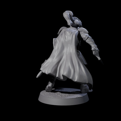 City Knight D Miniature for Dungeons and Dragons, Pathfinder or other TTRPGs