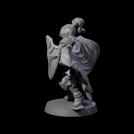 City Knight E Miniature for Dungeons and Dragons, Pathfinder or other TTRPGs