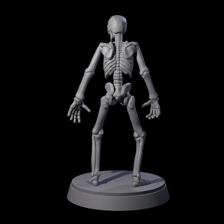 Clattering Classic Skeleton A Miniature for Dungeons and Dragons, Pathfinder or other TTRPGs