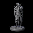 Cloaked Dark Elf Assassin C Miniature for Dungeons and Dragons, Pathfinder or other TTRPGs