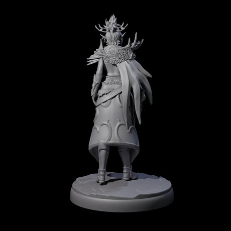 Cloaked Dark Elf Assassin F Miniature for Dungeons and Dragons, Pathfinder or other TTRPGs