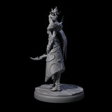 Cloaked Dark Elf Assassin F Miniature for Dungeons and Dragons, Pathfinder or other TTRPGs