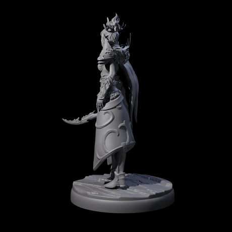 Cloaked Dark Elf Assassin F Miniature for Dungeons and Dragons, Pathfinder or other TTRPGs