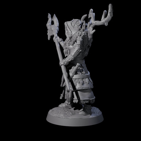 Confident Woodland Druid Miniature for Dungeons and Dragons, Pathfinder or other TTRPGs