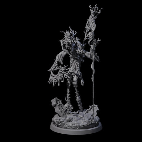 Corrupted Human Druid A Miniature for Dungeons and Dragons, Pathfinder or other TTRPGs