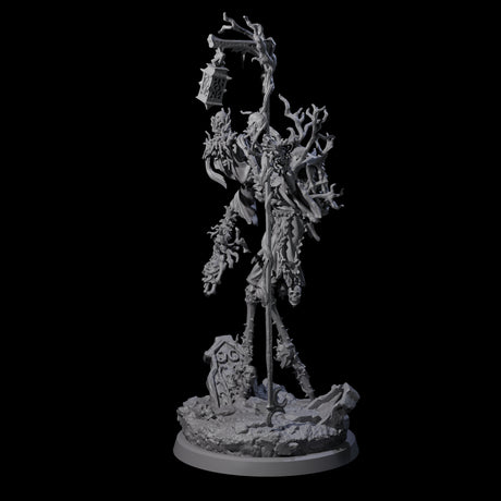 Corrupted Human Druid A Miniature for Dungeons and Dragons, Pathfinder or other TTRPGs