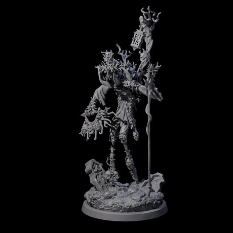 Corrupted Human Druid A Miniature for Dungeons and Dragons, Pathfinder or other TTRPGs