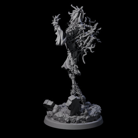 Corrupted Human Druid B Miniature for Dungeons and Dragons, Pathfinder or other TTRPGs