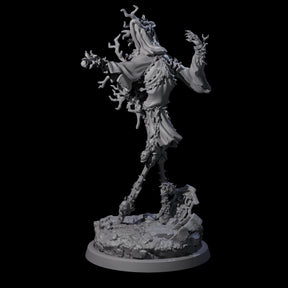 Corrupted Human Druid B Miniature for Dungeons and Dragons, Pathfinder or other TTRPGs