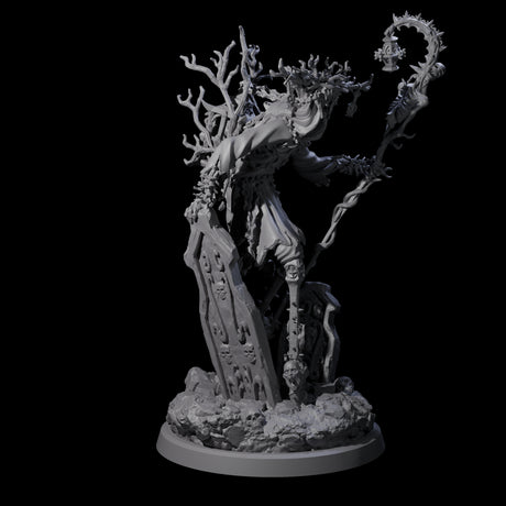 Corrupted Human Druid D Miniature for Dungeons and Dragons, Pathfinder or other TTRPGs