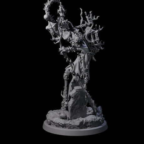 Corrupted Human Druid D Miniature for Dungeons and Dragons, Pathfinder or other TTRPGs
