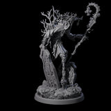 Corrupted Human Druid D Miniature for Dungeons and Dragons, Pathfinder or other TTRPGs
