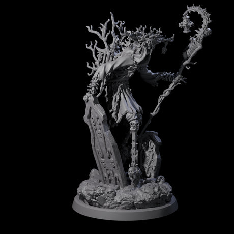 Corrupted Human Druid D Miniature for Dungeons and Dragons, Pathfinder or other TTRPGs
