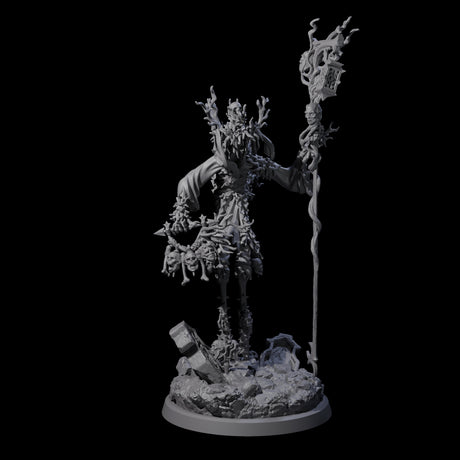 Corrupted Human Druids Miniature for Dungeons and Dragons, Pathfinder or other TTRPGs
