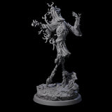 Corrupted Human Druids Miniature for Dungeons and Dragons, Pathfinder or other TTRPGs