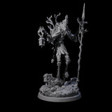 Corrupted Human Druids Miniature for Dungeons and Dragons, Pathfinder or other TTRPGs