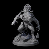 Crazed Forest Hag riding a Beast Miniature for Dungeons and Dragons, Pathfinder or other TTRPGs