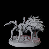 Creeping Giant Spider C Miniature for Dungeons and Dragons, Pathfinder or other TTRPGs
