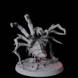 Creeping Giant Spider D Miniature for Dungeons and Dragons, Pathfinder or other TTRPGs