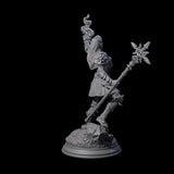 Cult Leader Elf Battlemage Miniature for Dungeons and Dragons, Pathfinder or other TTRPGs