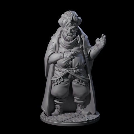 Cunning Human Merchant Miniature for Dungeons and Dragons, Pathfinder or other TTRPGs